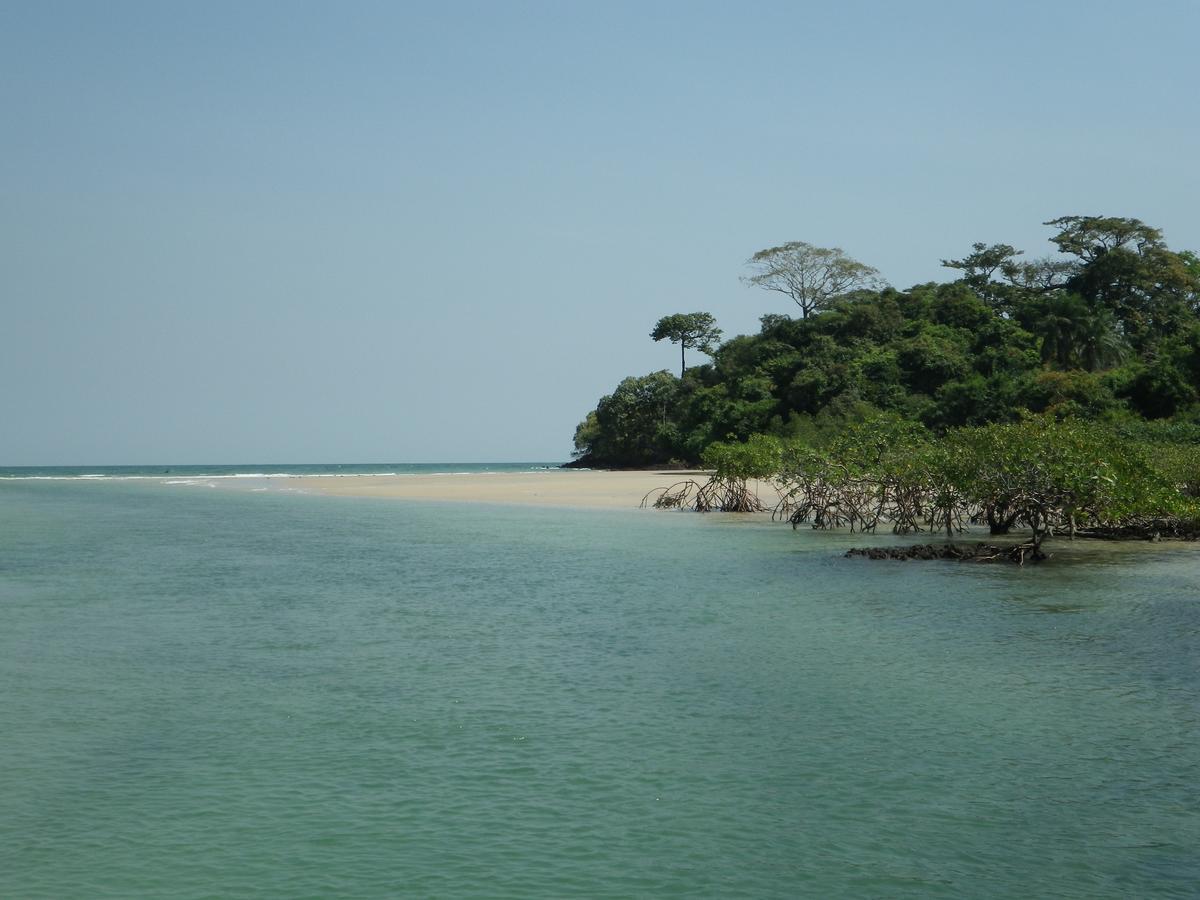 Bubaque Hotel Kasa Afrikana المظهر الخارجي الصورة